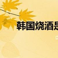韩国烧酒是多少度（韩国烧酒多少度）