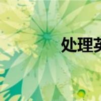 处理英文怎么说（处理英文）
