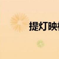 提灯映桃花讲的什么故事（tid）