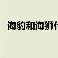 海豹和海狮什么区别（海豹和海狮的区别）