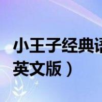 小王子经典语录英文版摘抄（小王子经典语录英文版）