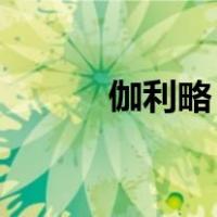 伽利略 全名（伽利略简介资料）