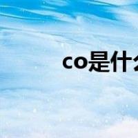 co是什么职位（coe是什么职位）