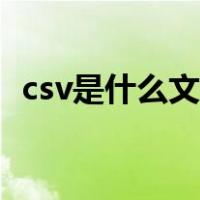 csv是什么文件怎么建立（csv是什么文件）