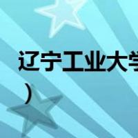 辽宁工业大学官方网站（辽宁工业大学探索网）