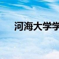 河海大学学报是c刊吗（河海大学学报）