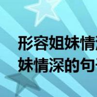 形容姐妹情深的句子 简短发朋友圈（形容姐妹情深的句子）