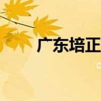 广东培正学院学费（广东培正学院）
