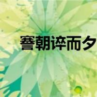 謇朝谇而夕替词类活用（謇朝谇而夕替）