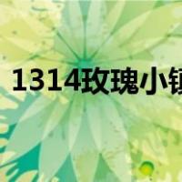 1314玫瑰小镇在哪里（1314玫瑰小镇登陆）