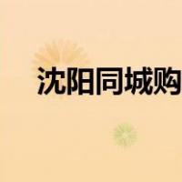 沈阳同城购物网站（沈阳团购网站大全）