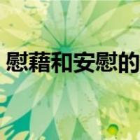 慰藉和安慰的区别拼音（慰藉和安慰的区别）