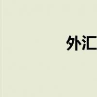 外汇风险中性（外汇风险）