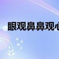 眼观鼻鼻观心的正确方法（眼观鼻鼻观心）