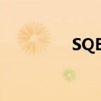 SQE岗位（sqe岗位职责）