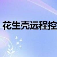 花生壳远程控制文件传输（花生壳远程控制）