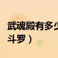 武魂殿有多少位封号斗罗（武魂殿有多少封号斗罗）