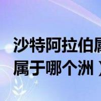 沙特阿拉伯属于哪个洲哪个位置（沙特阿拉伯属于哪个洲）