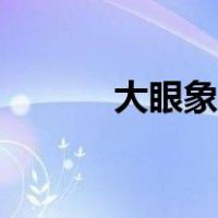大眼象鼻虫图片（象鼻虫图片）