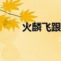 火麟飞跟风耀打了一个赌（火麟飞）