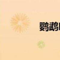鹦鹉吧 百度贴吧（鹦鹉吧）