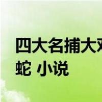 四大名捕大对决(又名四大名捕走龙蛇)8:走龙蛇 小说