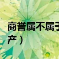 商誉属不属于无形资产（商誉是否属于无形资产）