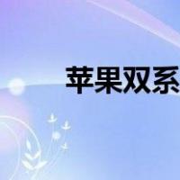 苹果双系统一键切换（苹果双系统）