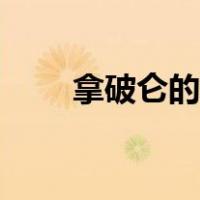 拿破仑的功与过（评价拿破仑功过）