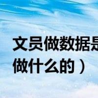 文员做数据是什么意思（数据文员工作具体是做什么的）