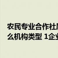 农民专业合作社属于什么公司类型（农村专业合作社属于什么机构类型 1企业 2社会团体 3民办非）