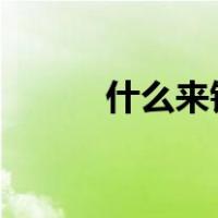 什么来钱最快?（什么来钱最快）