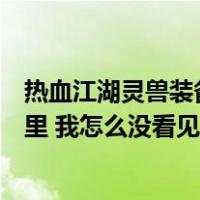 热血江湖灵兽装备不见了（热血江湖灵兽变身符在百宝阁哪里 我怎么没看见）