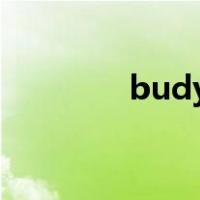 budy budy（baudy百度）
