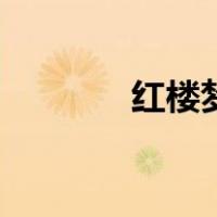 红楼梦贾瑞是谁（贾瑞是谁）