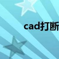 cad打断命令图标（cad打断命令）