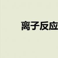 离子反应的知识点总结（离子反应）
