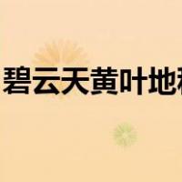 碧云天黄叶地秋色连波波上寒烟翠是什么季节