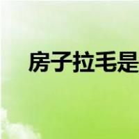 房子拉毛是什么意思（拉毛是什么意思）