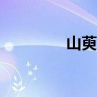 山萸肉的危害极大（山萸）