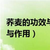 荞麦的功效与作用及营养价值（荞麦茶的功效与作用）
