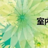 室内足球场（室内足球）