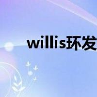 willis环发育不良什么意思（willis环）