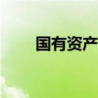 国有资产出租管理办法（国有资产）