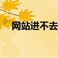 网站进不去用什么加速器（网站进不去）