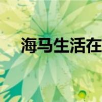 海马生活在热带海域（海马生活在哪里）