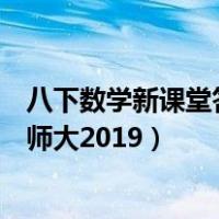 八下数学新课堂答案北师大版（启航新课堂八上数学答案北师大2019）