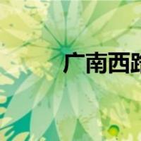 广南西路和广南东路（广南西路）