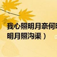 我心照明月奈何明月照沟渠下一句是什么（我心照明月奈何明月照沟渠）