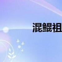 混鲲祖师的坐骑是什么（混鲲）